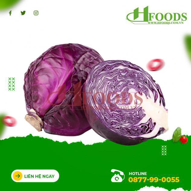 Bắp cải tím hữu cơ 