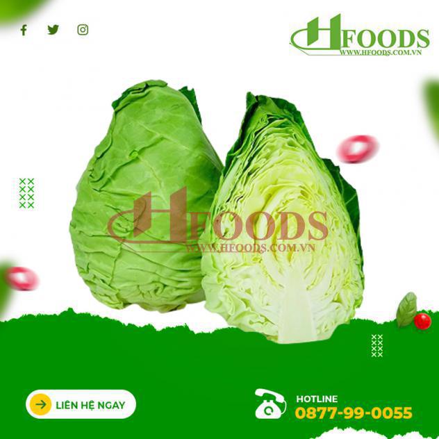 5 CÔNG DỤNG CỦA BẮP CẢI TRÁI TIM ĐỐI VỚI SỨC KHỎE 