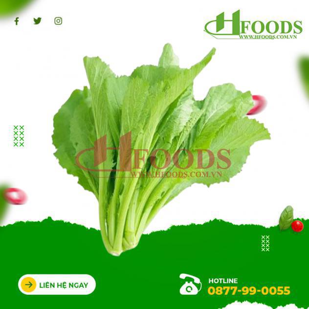 Cải bẹ xanh hữu cơ 