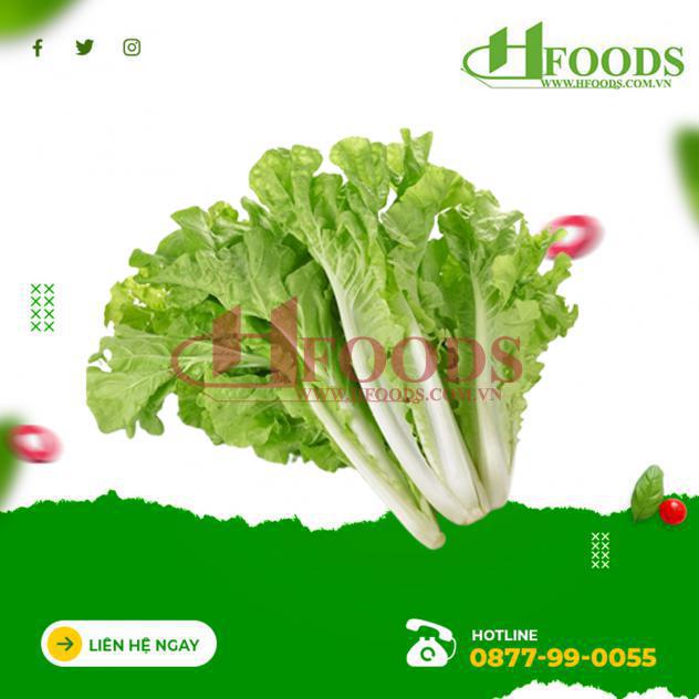Cải dún hữu cơ 