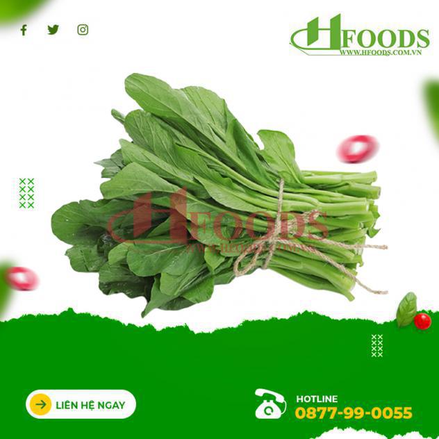 Cải ngồng hữu cơ 
