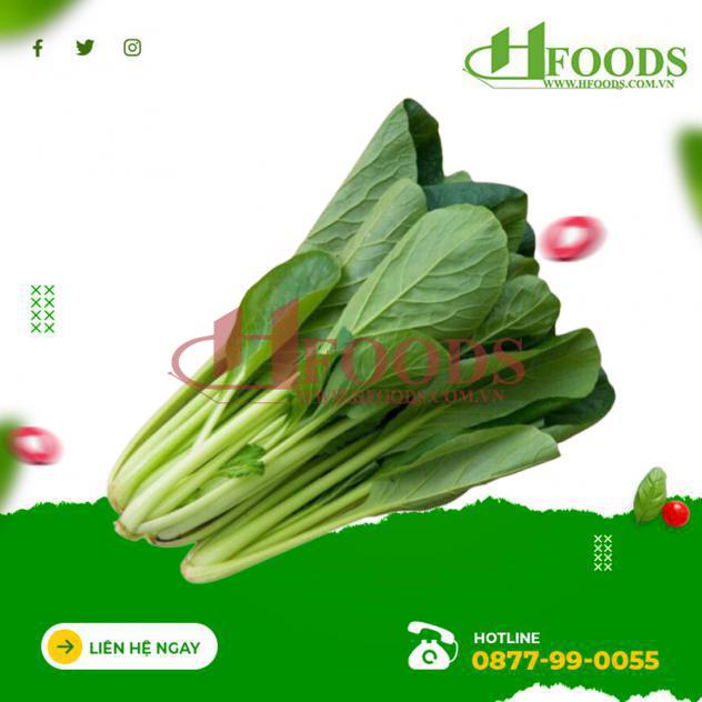 Cải ngọt hữu cơ 