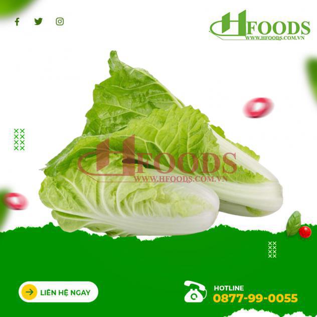 Cải thảo hữu cơ 