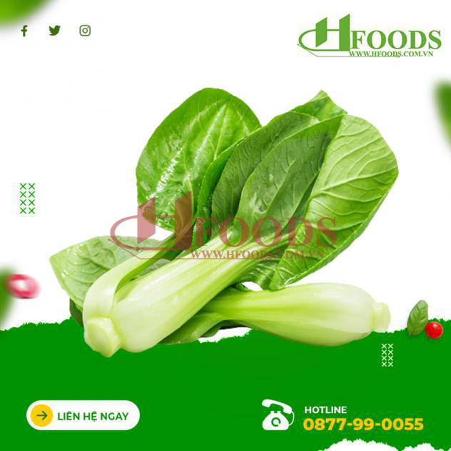Cải thìa hữu cơ 