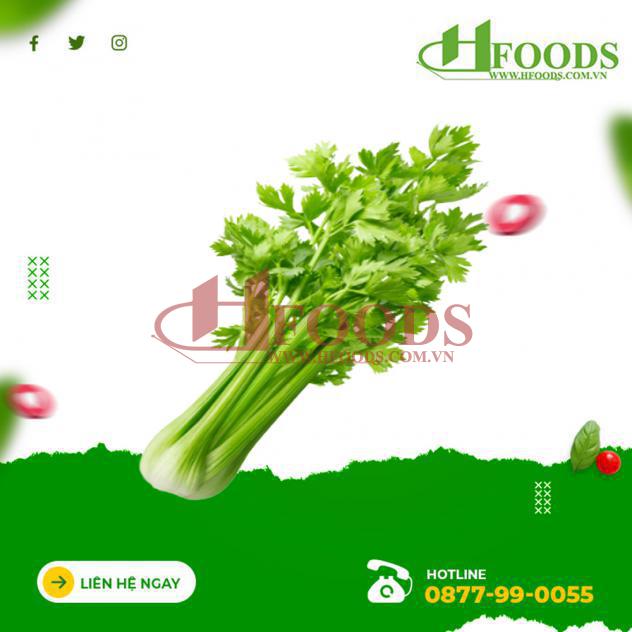 Cần tây hữu cơ 