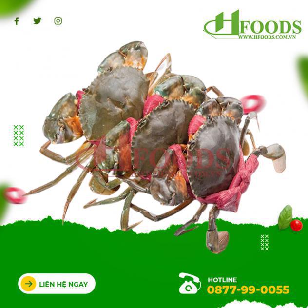 Cua biển, cua cà mau, cua cà mau tphcm, cua cà mau tươi sống, cua hà nội, cua năm căn, cua ngon, cua sống, giá cua cà mau, mua cua cà mau 