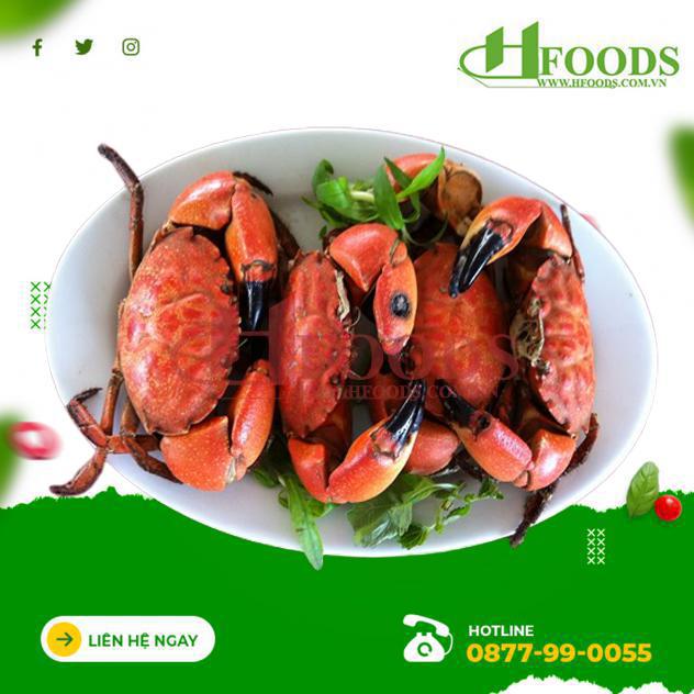 Cua Cù Kỳ 