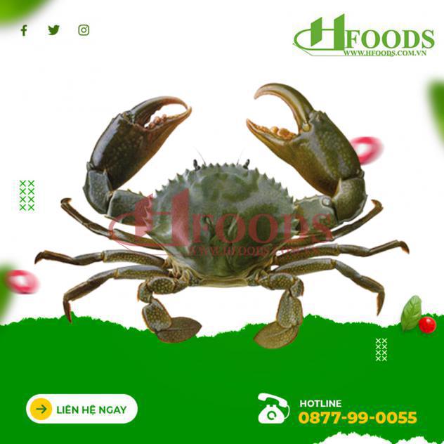 Cua Gạch Cà Mau 
