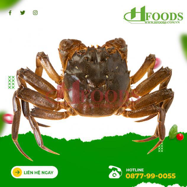 Cua Lông Hồng Kông 