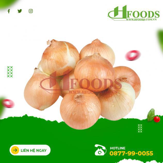Hành tây hữu cơ baby 