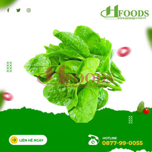 Mồng tơi hữu cơ 