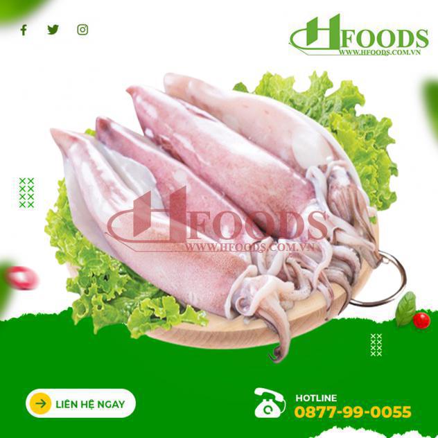 Mực Ống Sống 