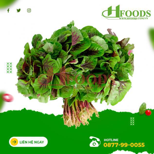 Rau dền hữu cơ 