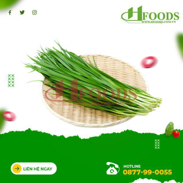 Rau hẹ hữu cơ 