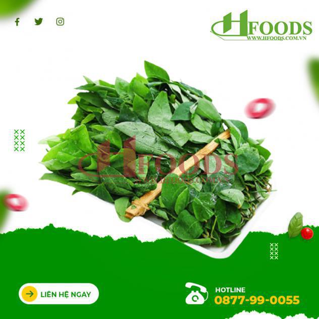 Rau ngót nhật hữu cơ 