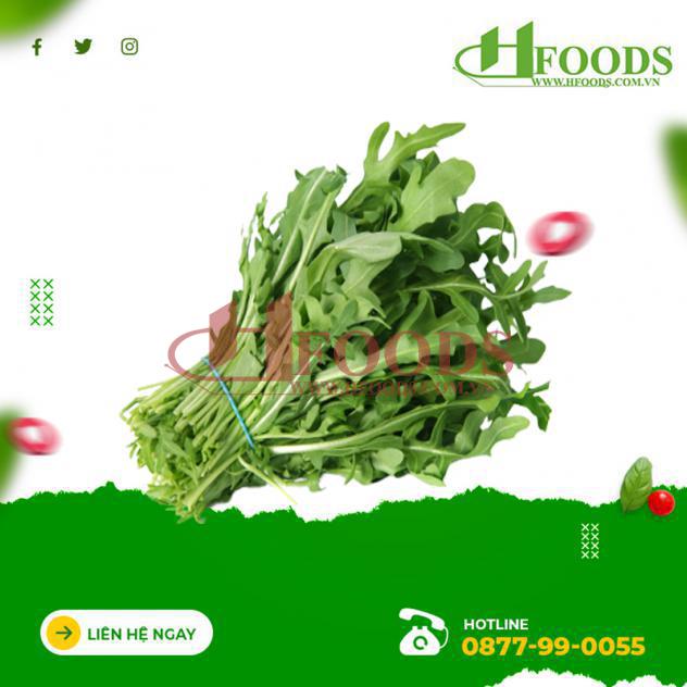 Rau rocket arugula hữu cơ 