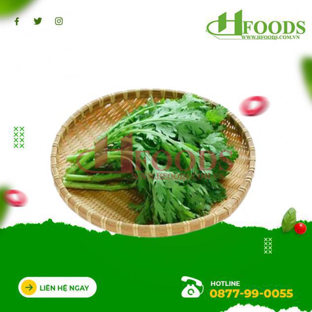 Tác dụng của rau tần ô là gì? 