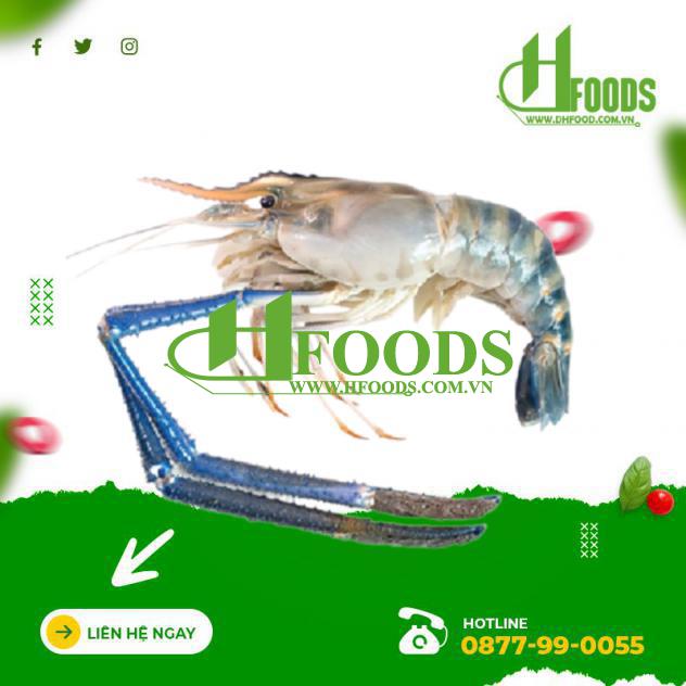 Tôm càng xanh (tôm lóng) thiên nhiên sống 8-10 con/kg 