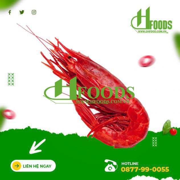 Tôm đỏ địa Trung Hải 