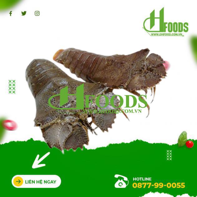 Tôm mũ ni đen (tôm vỗ) sống loại lớn 2-3 con/kg 