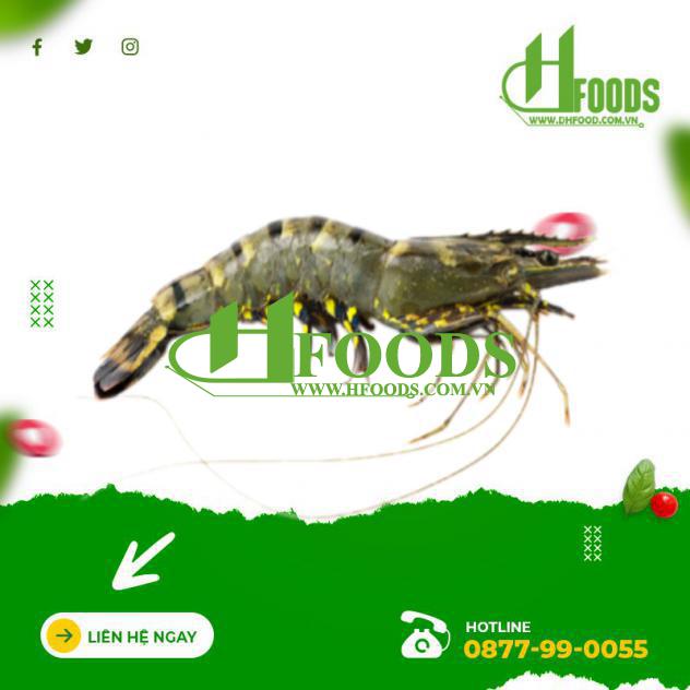 Tôm sú sống, nuôi an toàn giá tốt 60-70 con/kg 