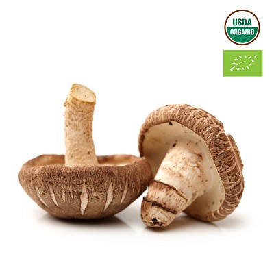 Nấm hương hữu cơ (organic) dạt chứng nhận hữu cơ USDA và EU