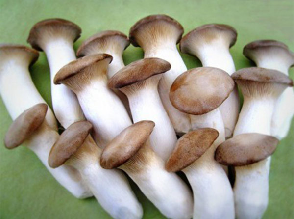 cach-chon-nam-dui-ga-ngon