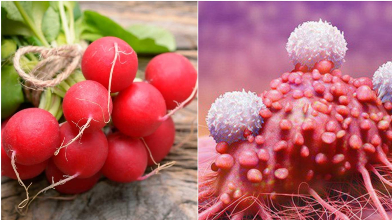 Mỗi ngày một cốc nước ép củ cải đỏ hỗ trợ ngăn ngừa nguy cơ mắc ung thư Mỗi ngày một cốc nước ép củ cải đỏ hỗ trợ ngăn ngừa nguy cơ mắc ung thư