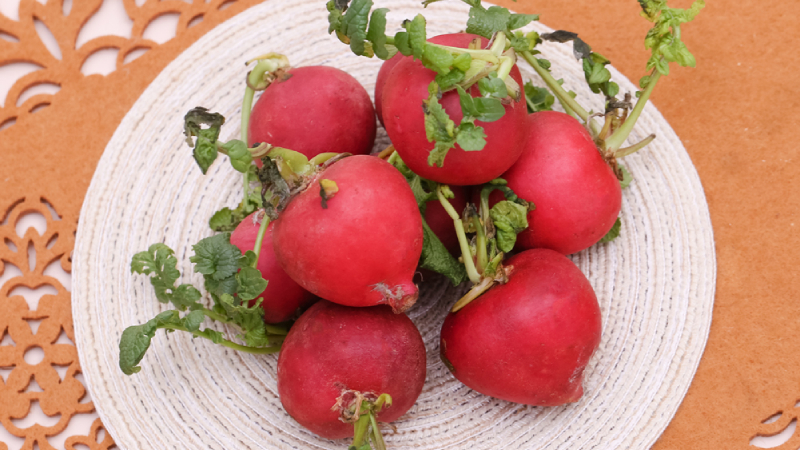 Củ cải đỏ có nhiều tác dụng tốt nhưng nếu sử dụng không đúng cách thì cũng sẽ gây ra những vấn đề không tốt cho sức khỏe Củ cải đỏ có nhiều tác dụng tốt nhưng nếu sử dụng không đúng cách thì cũng sẽ gây ra những vấn đề không tốt cho sức khỏe