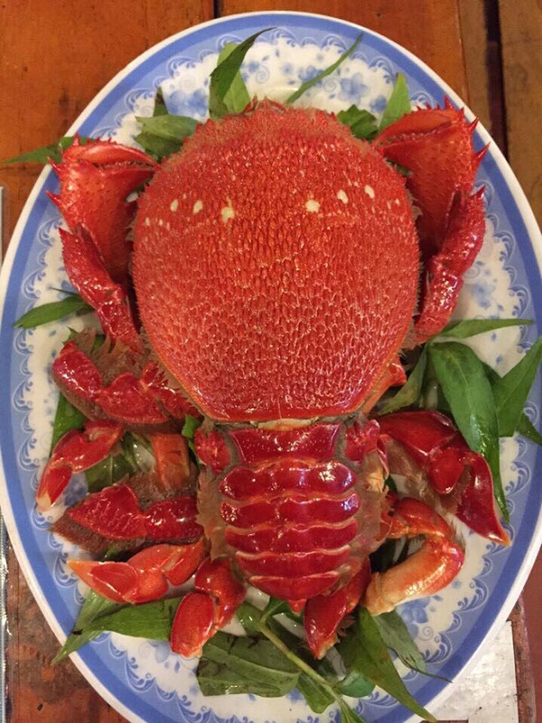 cua hoàng đế hấp