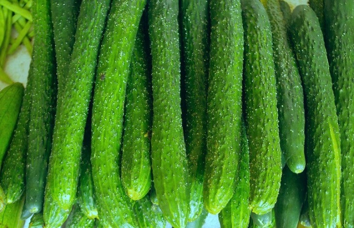 Dưa leo Nhật Dưa leo Nhật