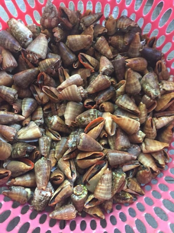 oc nhay do- hai san tuoi song ha noi