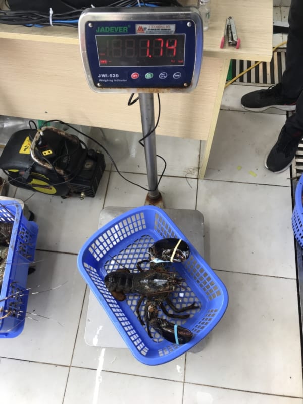 Tom hum alaska- hai san tuoi song ha noi