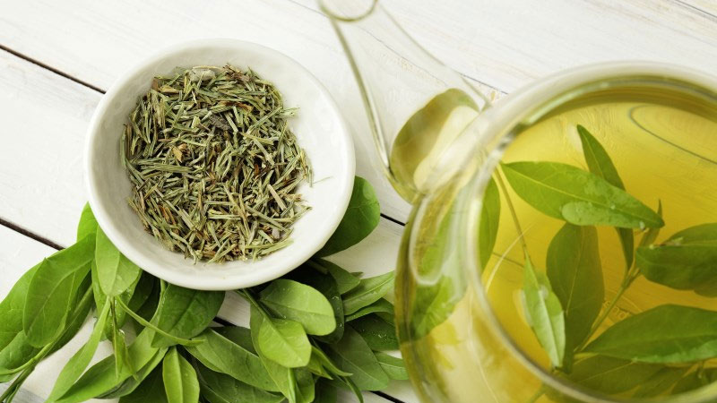 Lá trà xanh tươi sẽ tốt hơn lá trà xanh khô vì giữ được nhiều EGCG