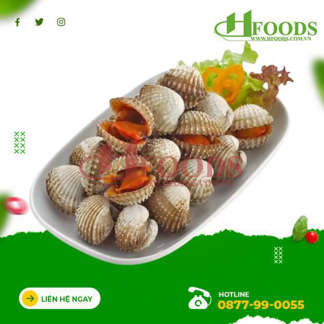 Giá sò huyết, mua sò huyết, Sò huyết, sò huyết cà mau, sò huyết tphcm, sò huyết tươi sống 