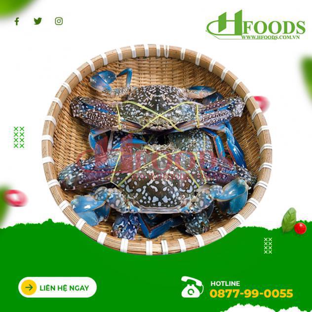 ghẹ biển, ghẹ biển tphcm, ghẹ biển tươi sống, ghẹ đỏ, ghẹ giá rẻ, ghẹ ...