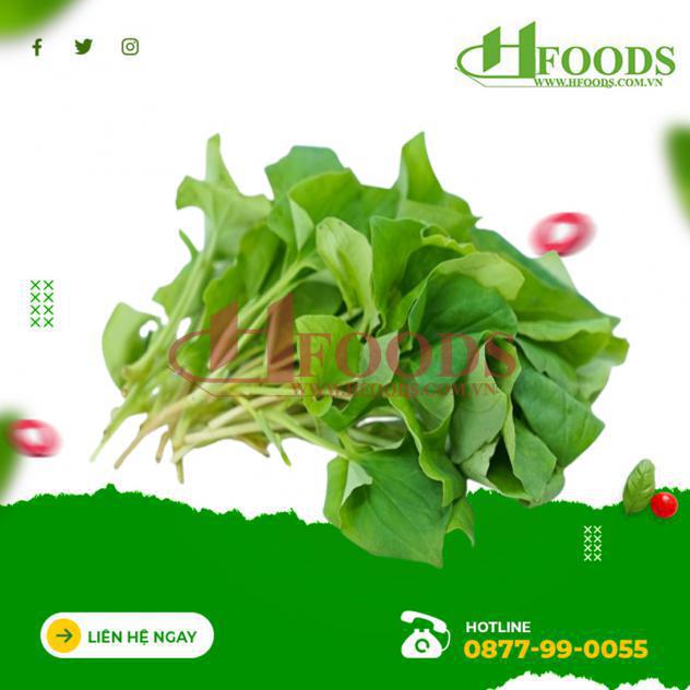 Rau diếp cá hữu cơ 