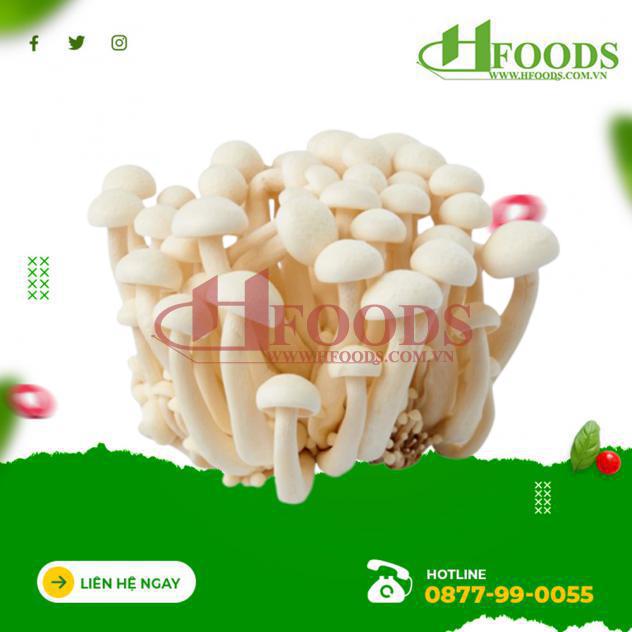 Nấm linh chi trắng hàn quốc 