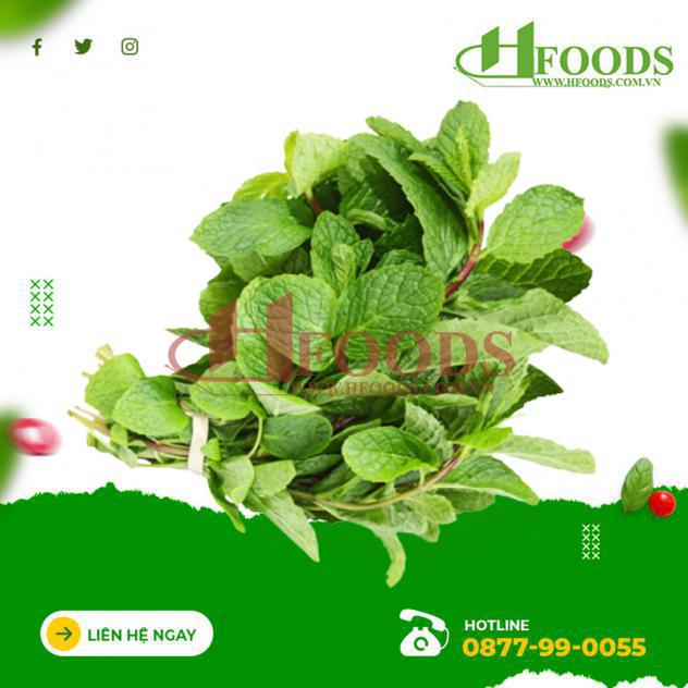 Húng lủi hữu cơ 