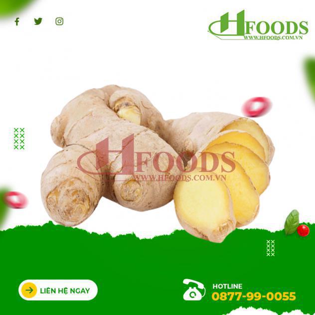 Gừng già hữu cơ 