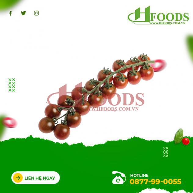 Cà chua bee socola hữu cơ 